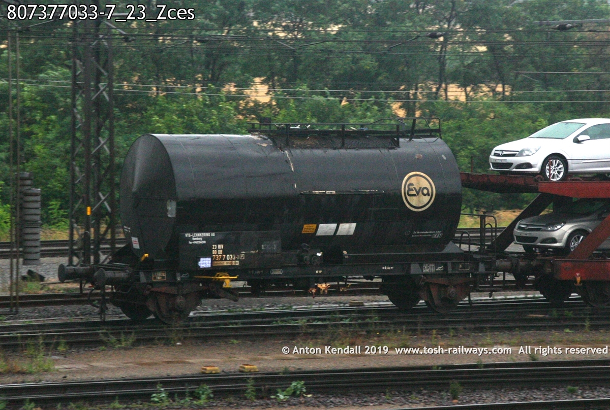 807377033-7_23_Zces.jpg
